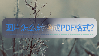 图片怎么转换成PDF格式？手机上就能轻松解决