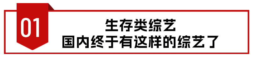 第一期就封神，国内终于有这种真人秀了