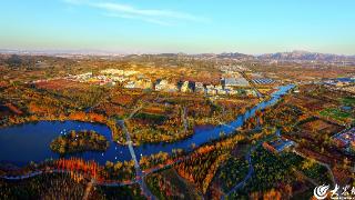 晒晒家乡“打卡地”丨青岛西海岸新区张家楼街道达尼村：“农”墨“文”彩 描绘北方现代版“富春山居图”