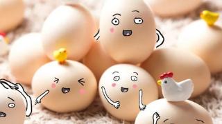 鸡蛋生吃可以吗？无菌蛋更有营养吗？