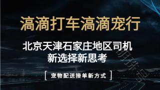 京津冀网约车司机增收新选择，滈滴宠行滈滴打车宠物配送新方式