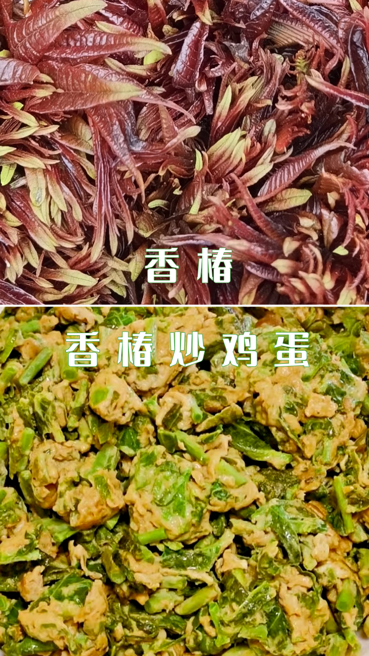 贵州的春天味道，你选折耳根还是野葱？