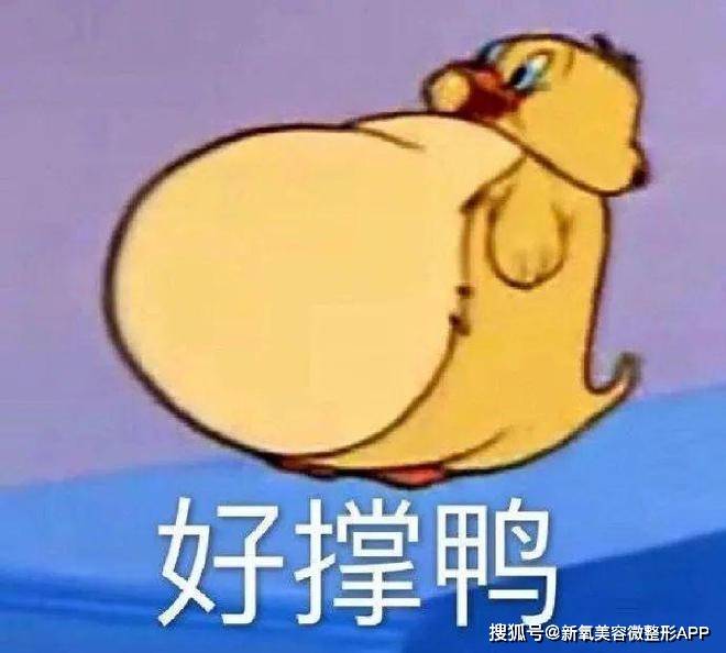 吉赛尔的减肥食谱曝光，一天进食量就只堪比我的饭前甜点？