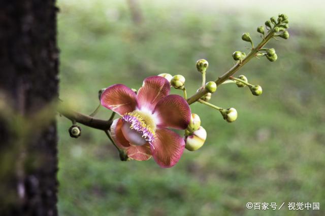 人生路上，有兄弟姐妹相伴，一定要懂得好好珍惜