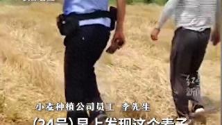 丧良心！4万斤小麦一夜之间被盗割：只剩麦茬 警方介入 评论区炸锅