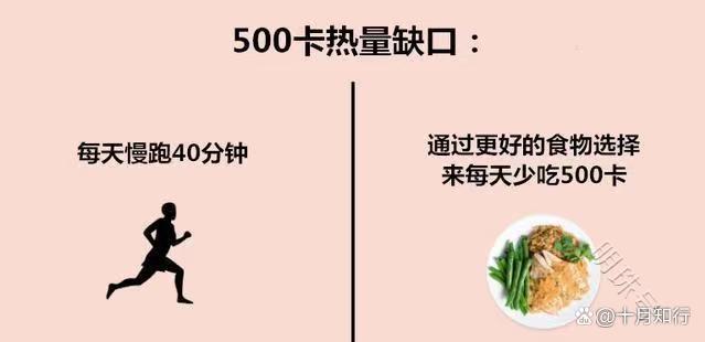 正视微胖，从健康出发做出改变