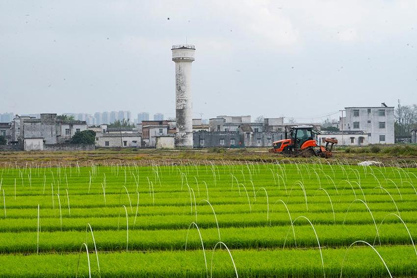 广西宾阳：春回大地春耕忙