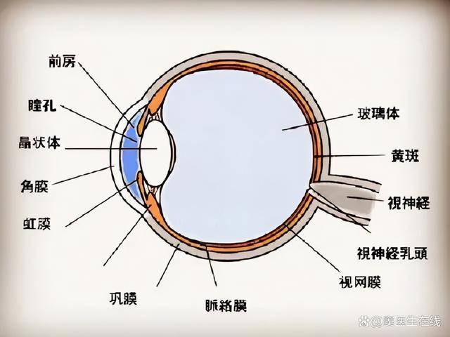 当眼睛出现这几种情况的时候，一定要引起重视