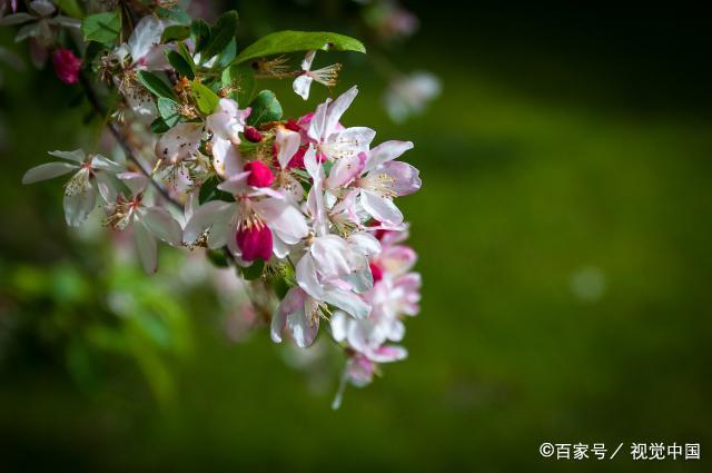 一个人，格局越来越大的几个征兆，正是这些