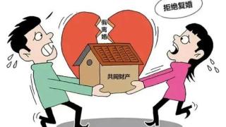 天津男欲买学区房假离婚，复婚遭拒因妻称子非亲生，法院已裁决