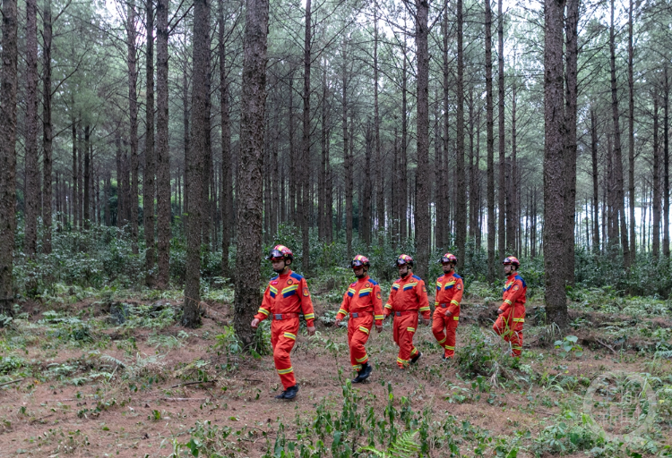 重庆南川：专业应急救援队加强森林防火巡护