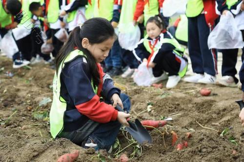 “劳动创造美好生活”千寻研学游第三课堂研学活动圆满结束