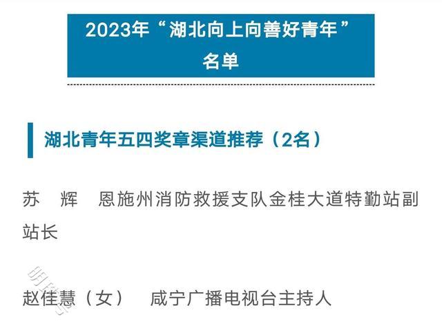 102名青年获表彰！“湖北向上向善好青年”名单公布