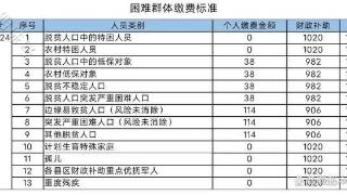 2024年临漳县城乡居民医保缴费开始啦！