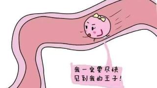 输卵管迂曲会影响到怀孕吗？