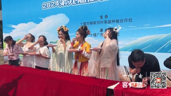 2024第九届湖北十堰汉江樱桃节开幕，一起去尝鲜