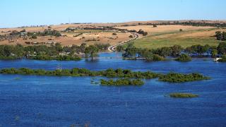澳大利亚曼纳姆水位上升 墨累河峰值水流将提前