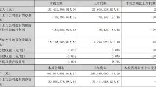 天茂集团上半年转亏 子公司国华人寿保费增3成亏3.9亿