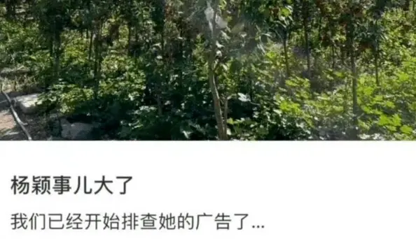 这次摊上大麻烦了？这么看，难道她真被封杀了？