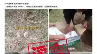 寻乌网警查处一起“活埋婴儿”网络谣言案