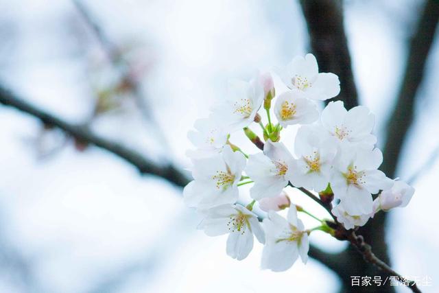 直面问题，学会解决，就是最好的成长