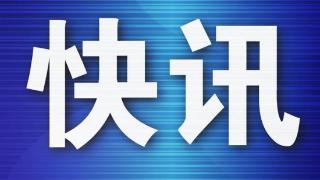 大连口岸今年首趟中欧班列开行