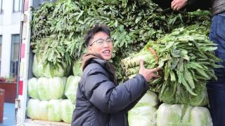 在校创业学生捐赠1万斤蔬菜