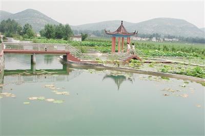 山东建管并重擦亮“秀水乡村”品牌