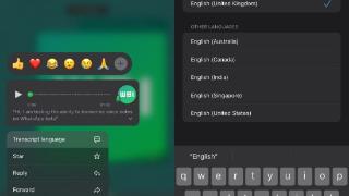 WhatsApp 在 iOS上测试语音消息自动转换为文本功能