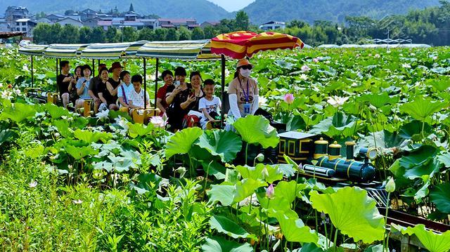 乡村旅游如何聚人气赚财气？经济日报：发掘长处，正视需求