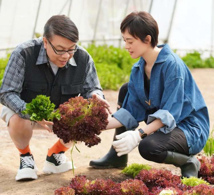 不能放假的台风，滚出广东！