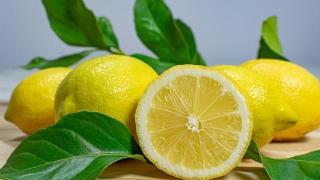 柠檬的季节、种类及最佳食用方式解析