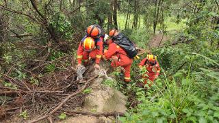 法 • 视界 | 女子掉入山林深坑 消防成功救援