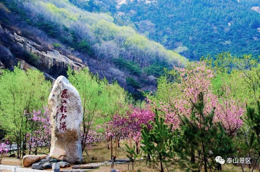 知行泰安|少年研学旅游活动指南来啦！开启收获满满的夏日之旅