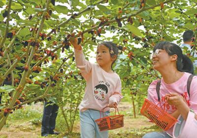 瓜果飘香 润泽夏日（文化中国行）