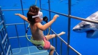 父母带小孩体验看鲨鱼，意想不到的事发生，镜头记录紧张一幕！