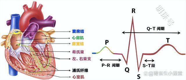 维持心脏健康的 “生命八要素”，建议学习下