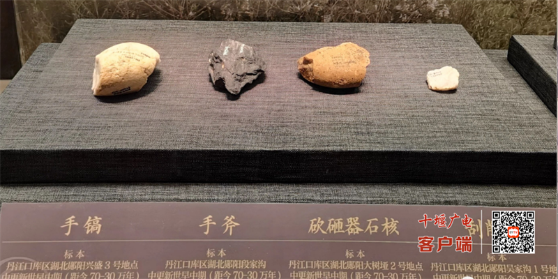 “郧县人”在国家博物馆展出，共绘中华大地百万年人类史