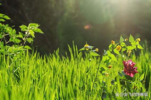 过得幸福吗？真实的婚姻家庭的15种状态，你是不是这样的生活呢