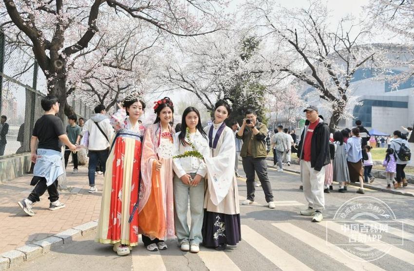 吉镜头｜客从春天来 相约在吉大