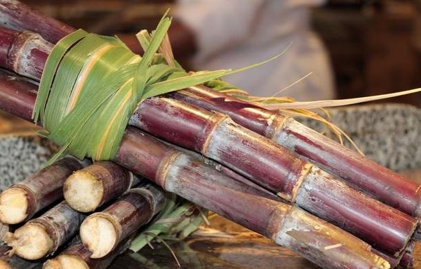 这三种食物，能够清热润肺、润肝脏，特别适合中老年人