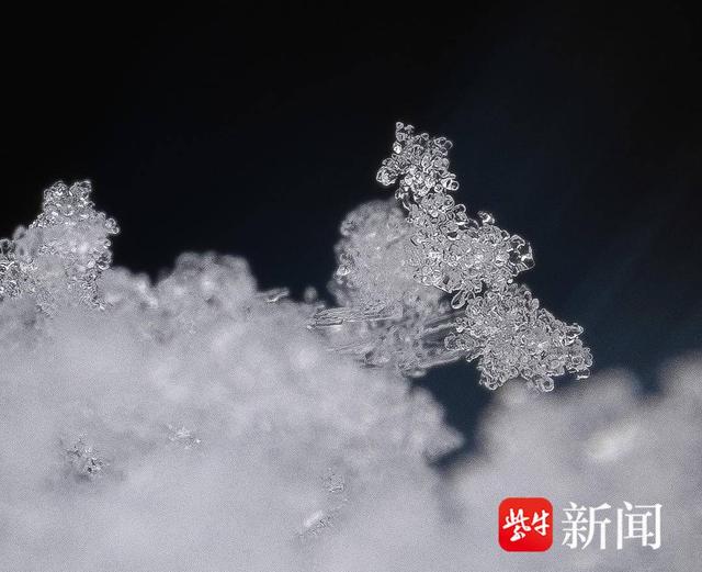 探秘微观世界下的雪花究竟长啥样