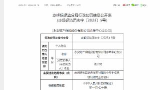 因编制虚假业务资料等，永安财险赤峰中心支公司合计被罚26万元