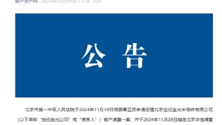 成立14年、负债超5亿元：知名半导体企业世纪金光破产清算！