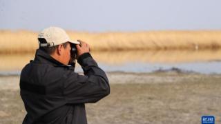 内蒙古辉河国家级自然保护区特莫呼珠管护站里的候鸟