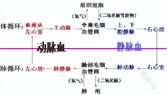 倍他乐克除了治疗心力衰竭，能够治疗哪些疾病？了解下