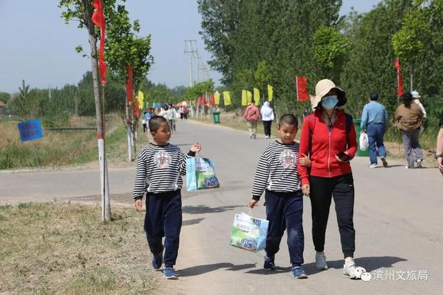 山东惠民首届蓝莓采摘旅游节盛大开幕