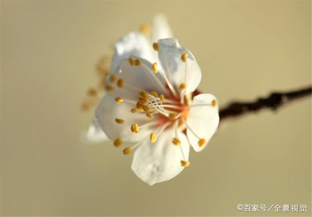 人到四十岁，夫妻感情再好，也要学会管住自己的嘴