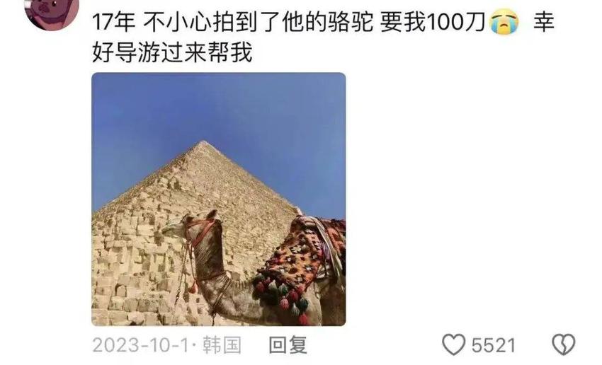 第一批去埃及旅行的人，已经被骗到快裸奔了