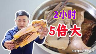 墨鱼干的美味之旅：从泡发到烹饪的全攻略